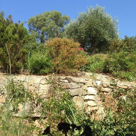 Maison St Mandrier Holiday home *